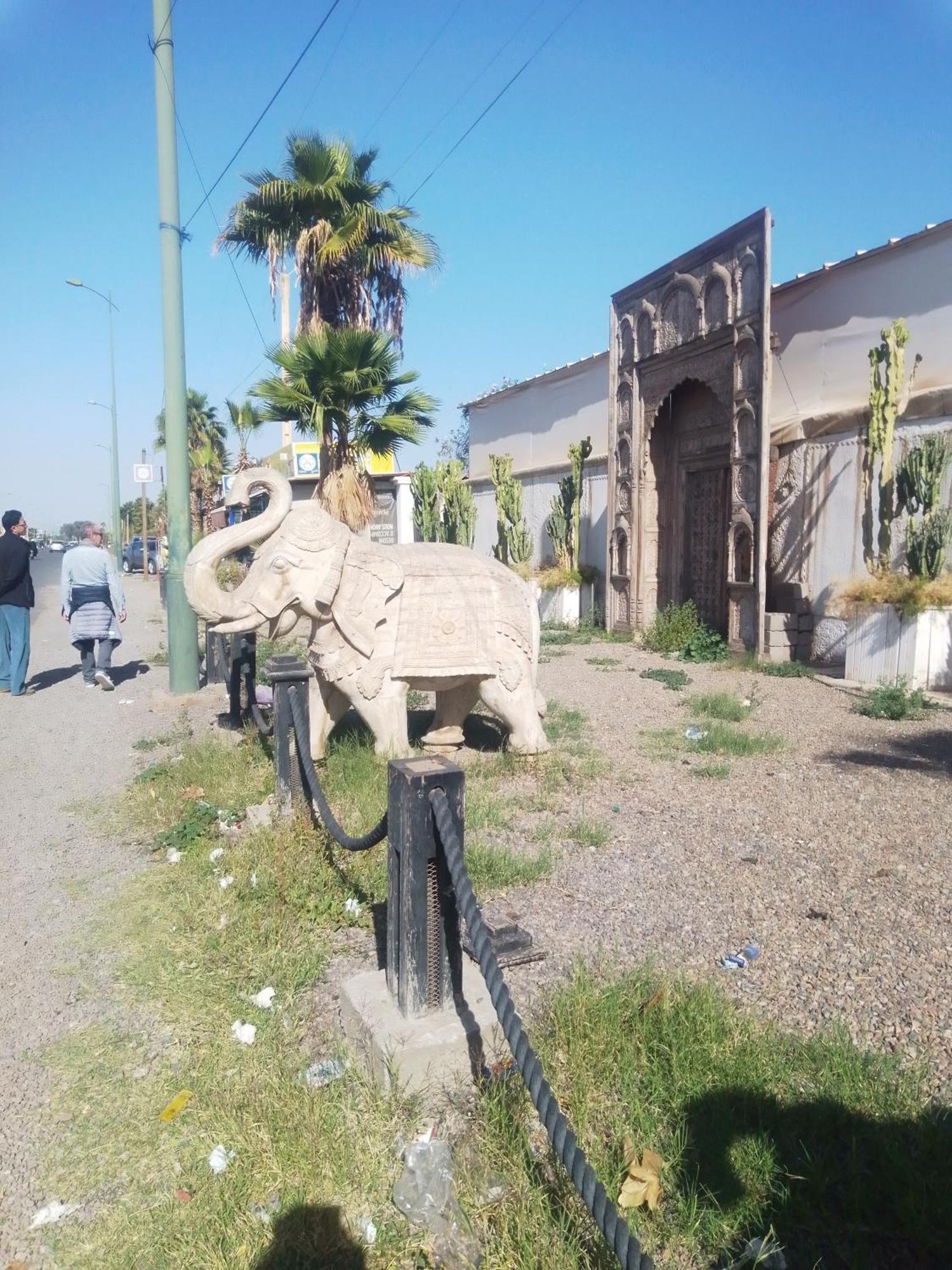 Riad Bouganville Bleu Marrakesh Eksteriør bilde